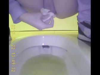 Japanese Teen Pee Play - Toilet Fetish Fun!